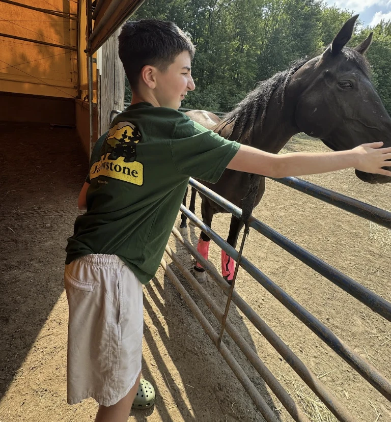 A student reaches over the fence to pet a dark horse at Willow Farms