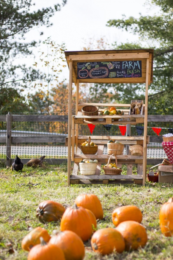 Pumpkins in front of the farm stand